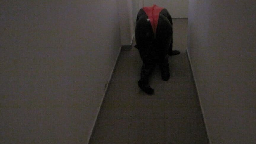 Petplay in latex suit ...
