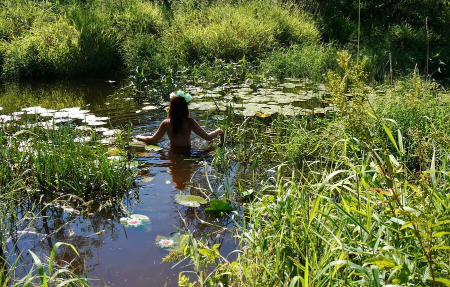 In a weedy pond