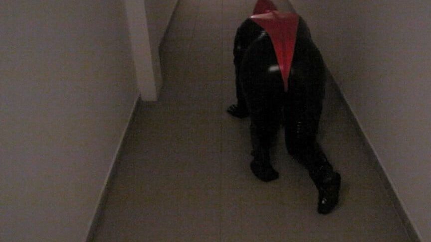 Petplay in latex suit ...