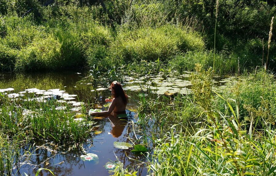 In a weedy pond