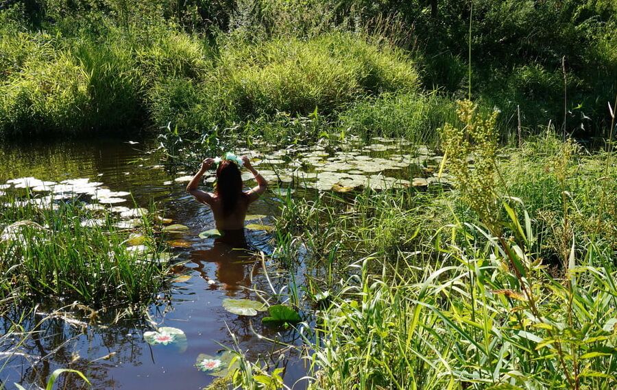 In a weedy pond