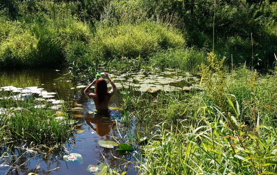 In a weedy pond