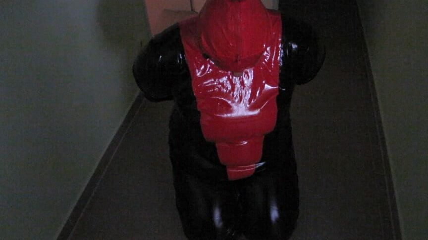 Petplay in latex suit ...
