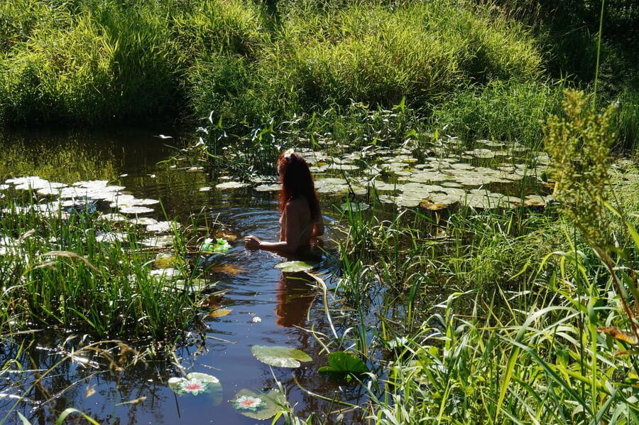 In a weedy pond