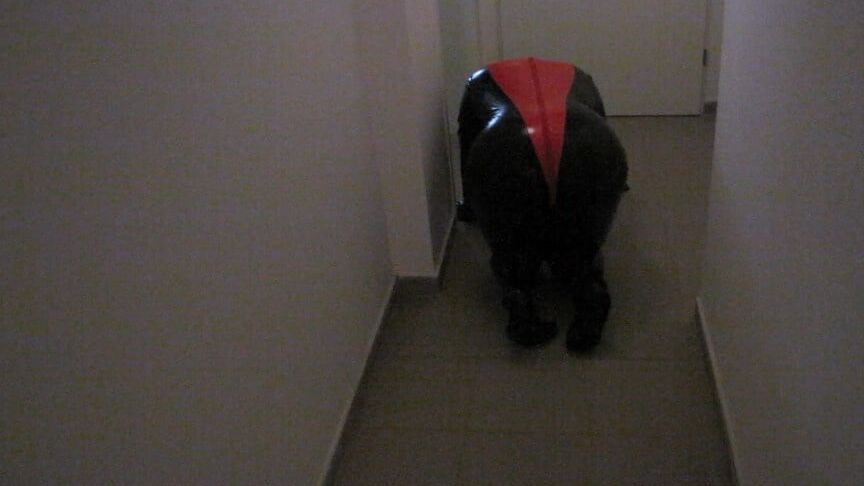 Petplay in latex suit ...