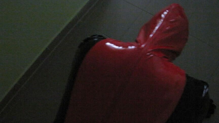 Petplay in latex suit ...
