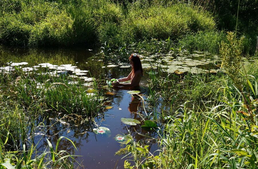 In a weedy pond