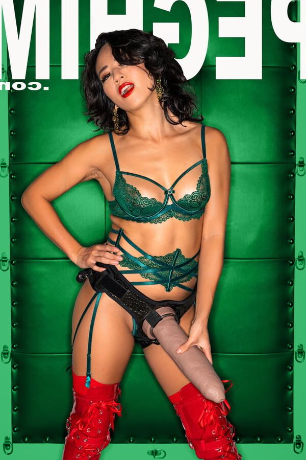 PEGHIM Cover Shot