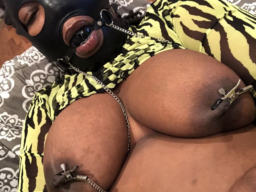 Gimmiedick