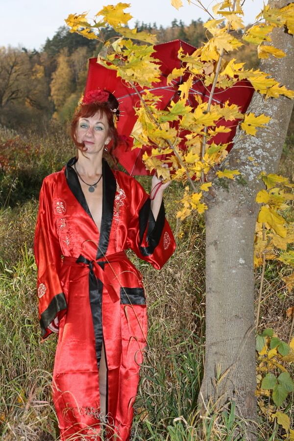 Nippon Style 6