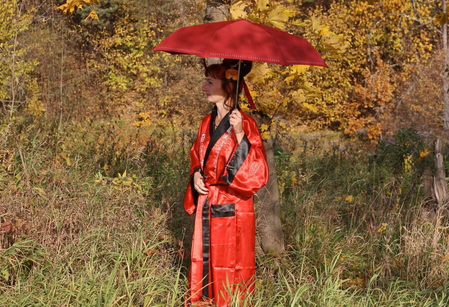 Nippon Style 6