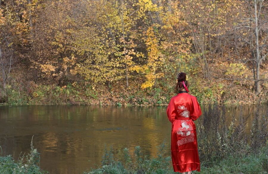 Nippon Style 6