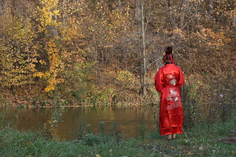 Nippon Style 6