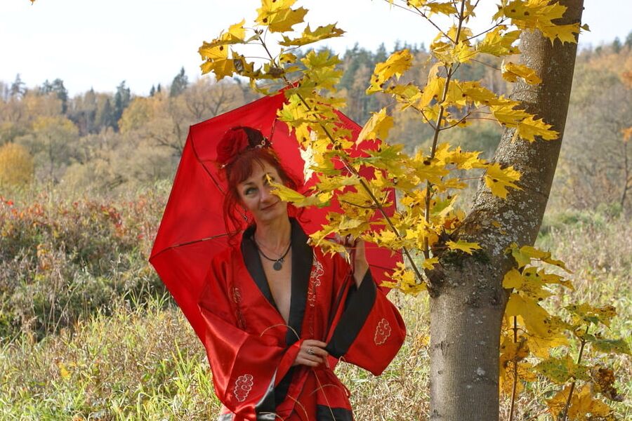 Nippon Style 6