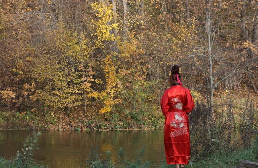 Nippon Style 6