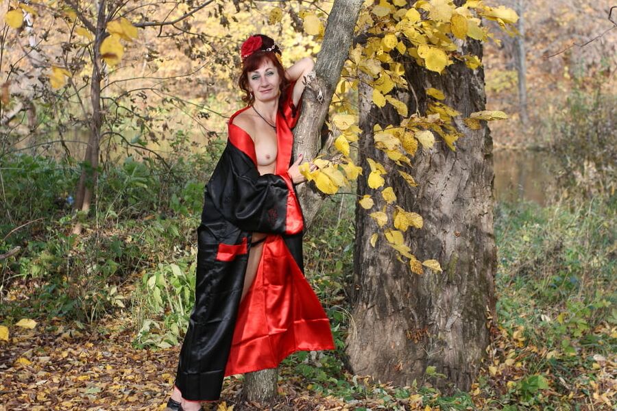 Nippon Style 3
