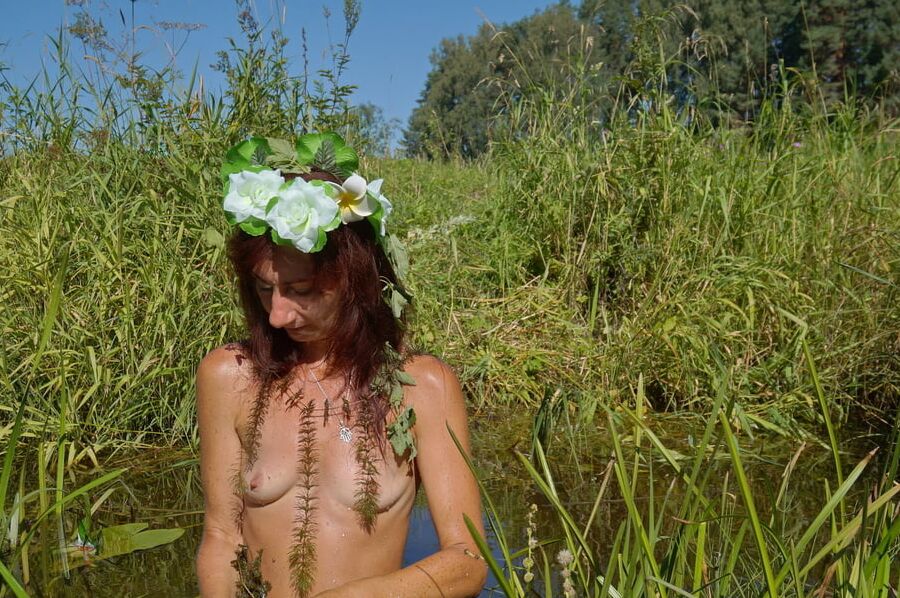 In pond with waterflowers
