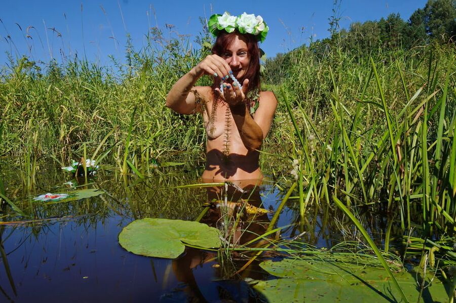 In pond with waterflowers
