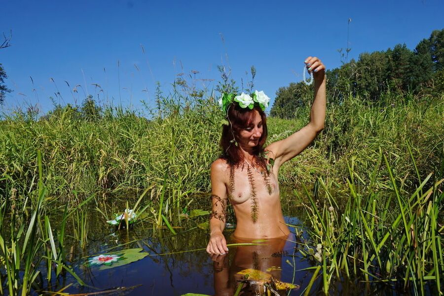 In pond with waterflowers