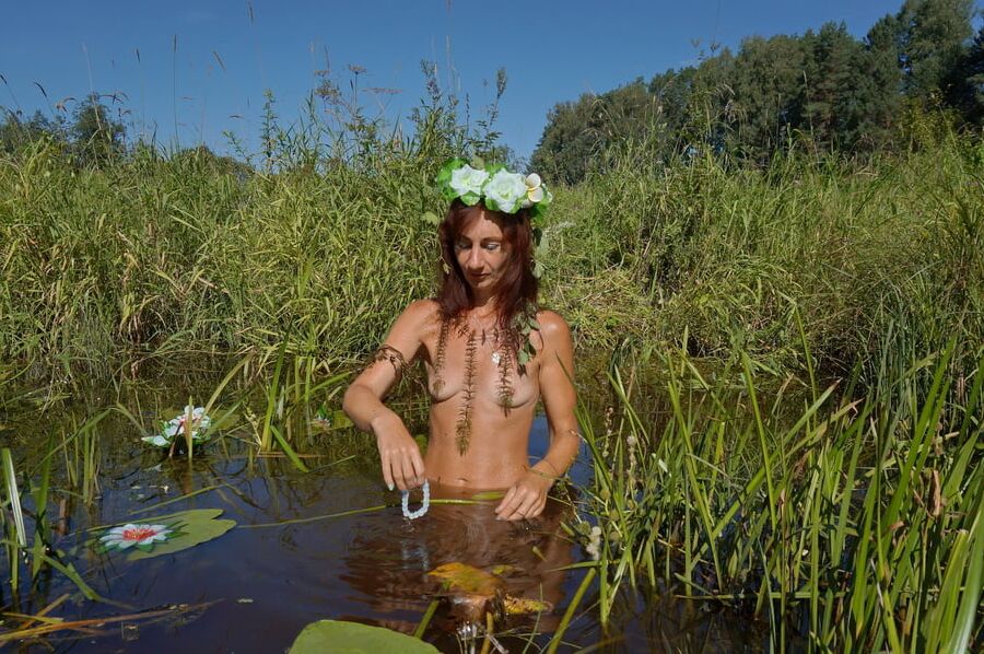 In pond with waterflowers
