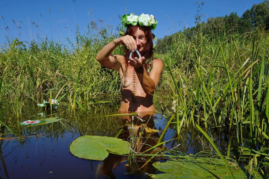 In pond with waterflowers