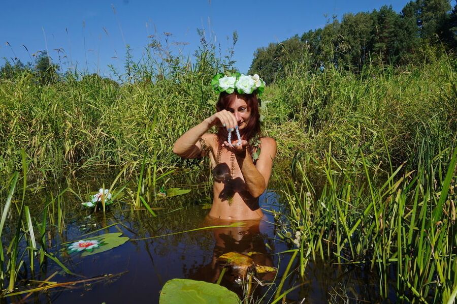 In pond with waterflowers