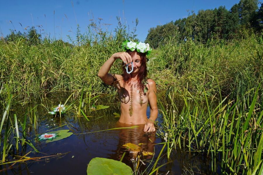 In pond with waterflowers