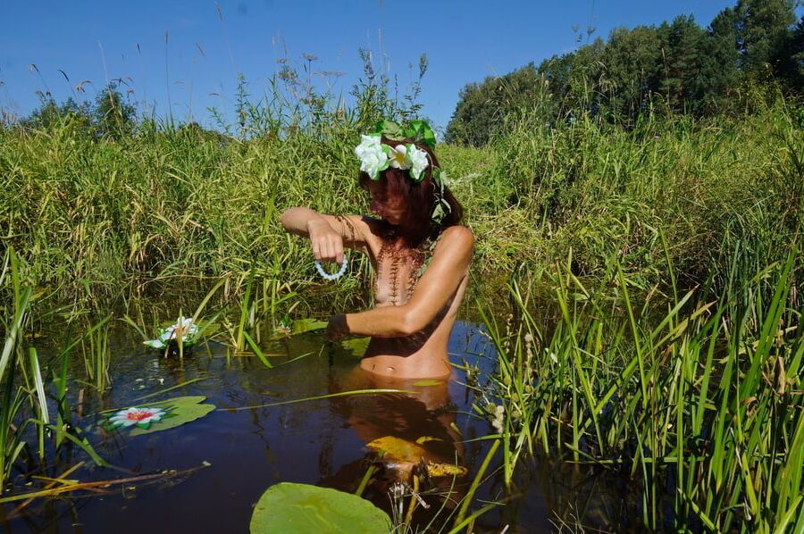 In pond with waterflowers