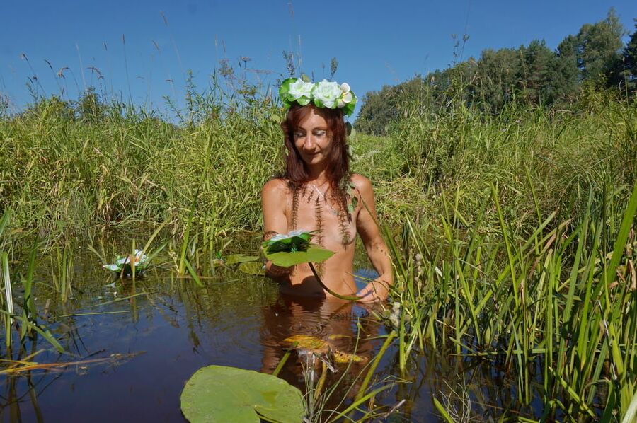 In pond with waterflowers