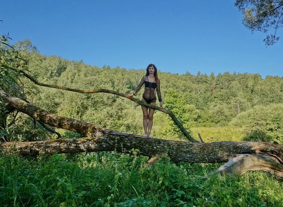 On a log