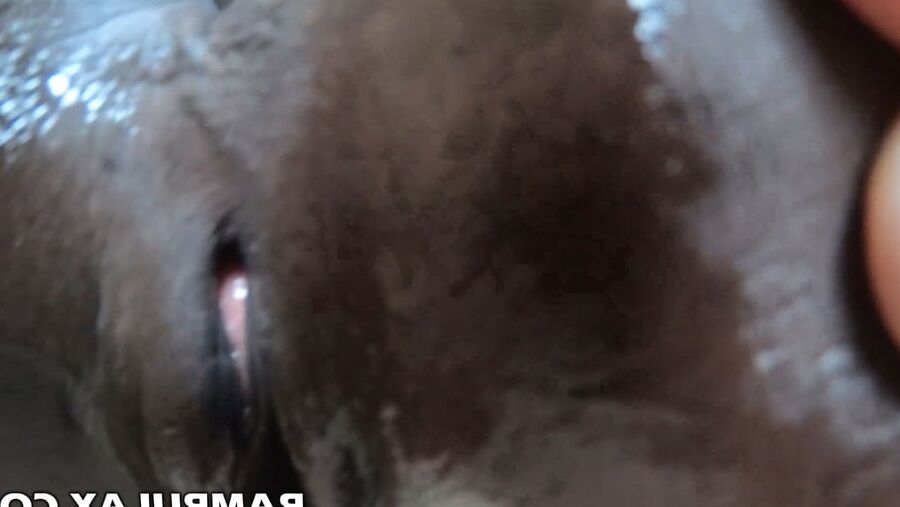 Ebony Teen Creampie