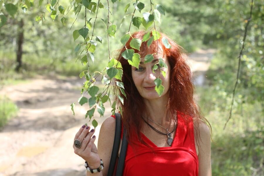 Among Birch