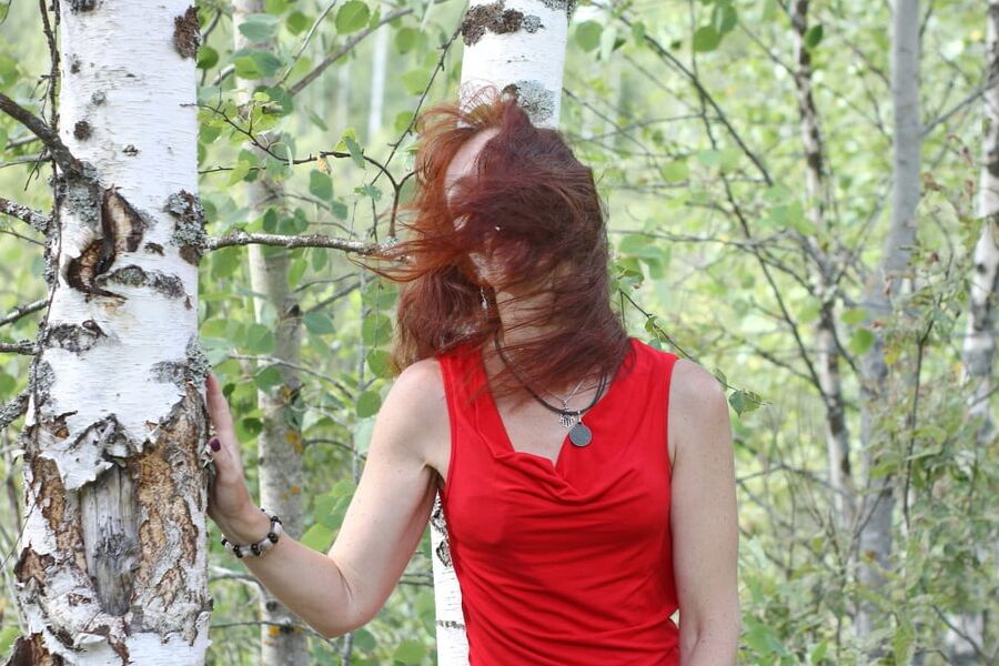Among Birch