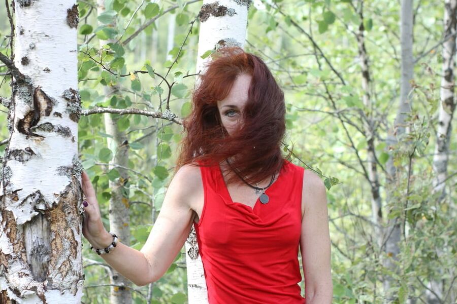 Among Birch