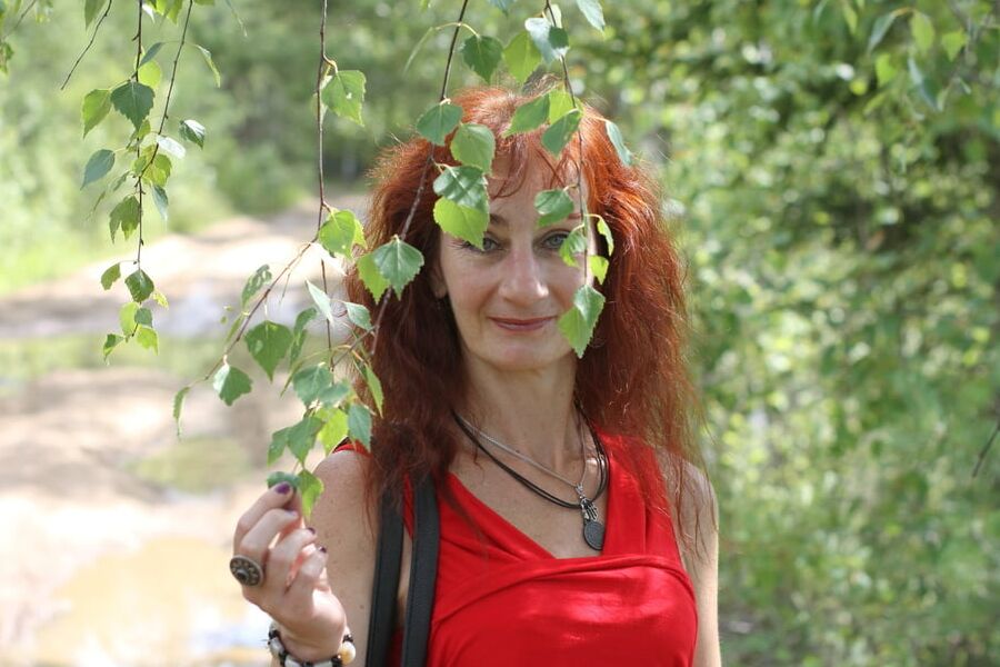 Among Birch