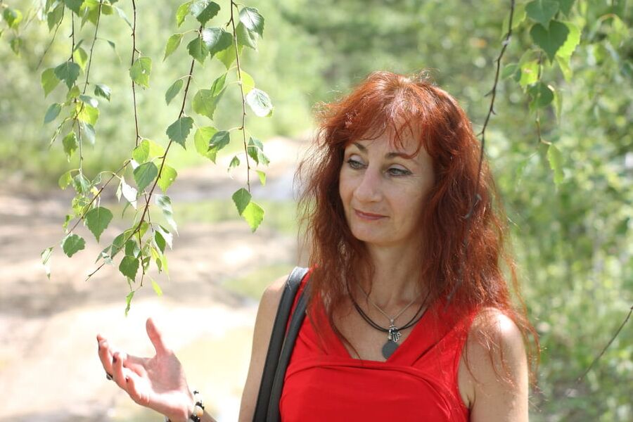Among Birch