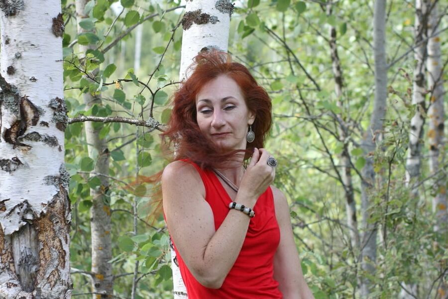 Among Birch