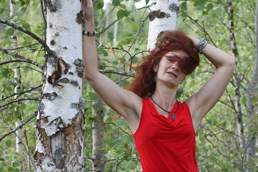 Among Birch