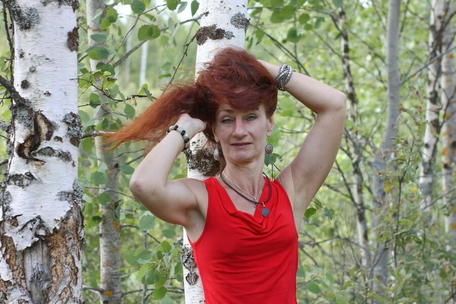 Among Birch