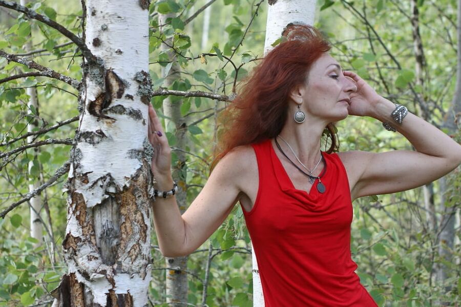 Among Birch