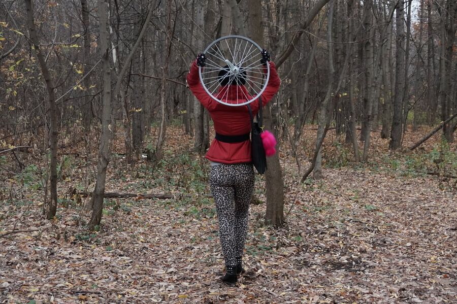 Wheel of Fortune