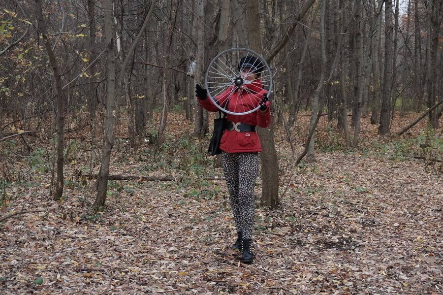 Wheel of Fortune