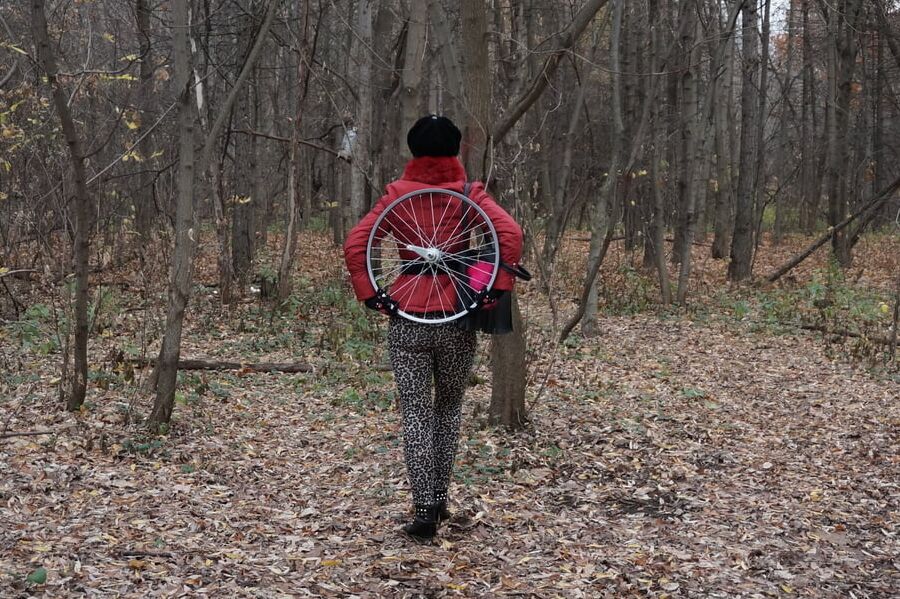 Wheel of Fortune