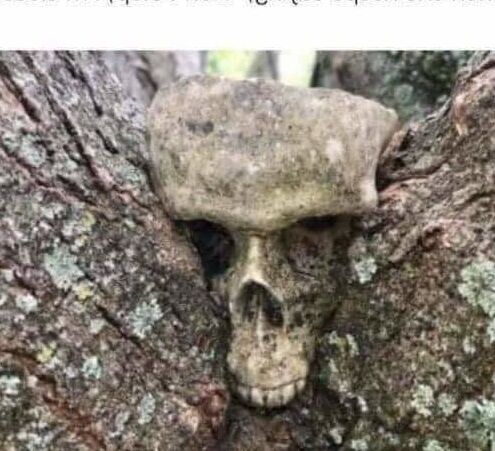 Adult Funnies