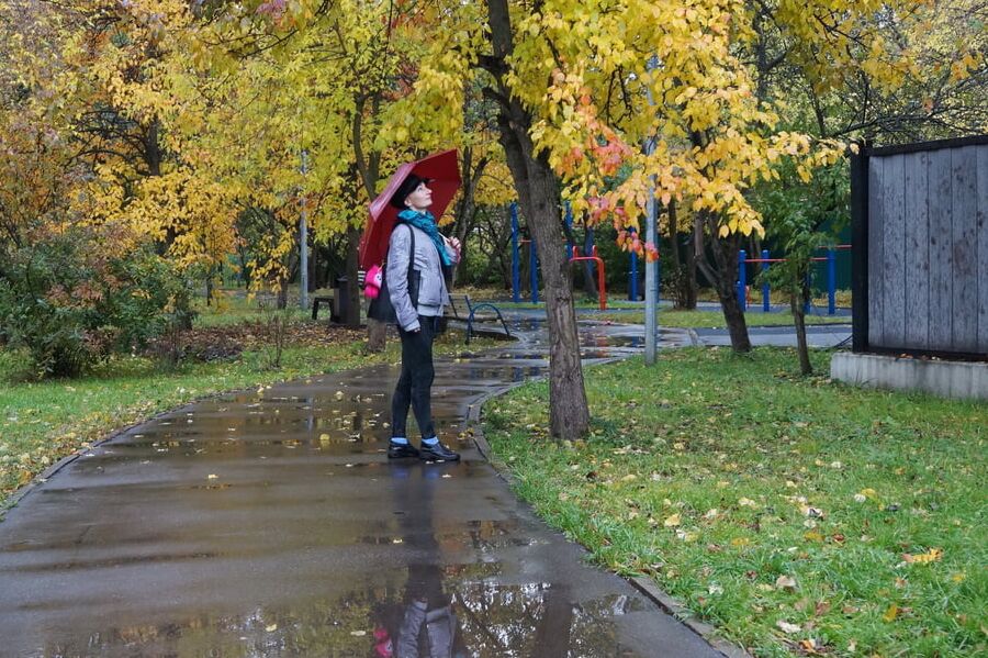 Autumn Mood
