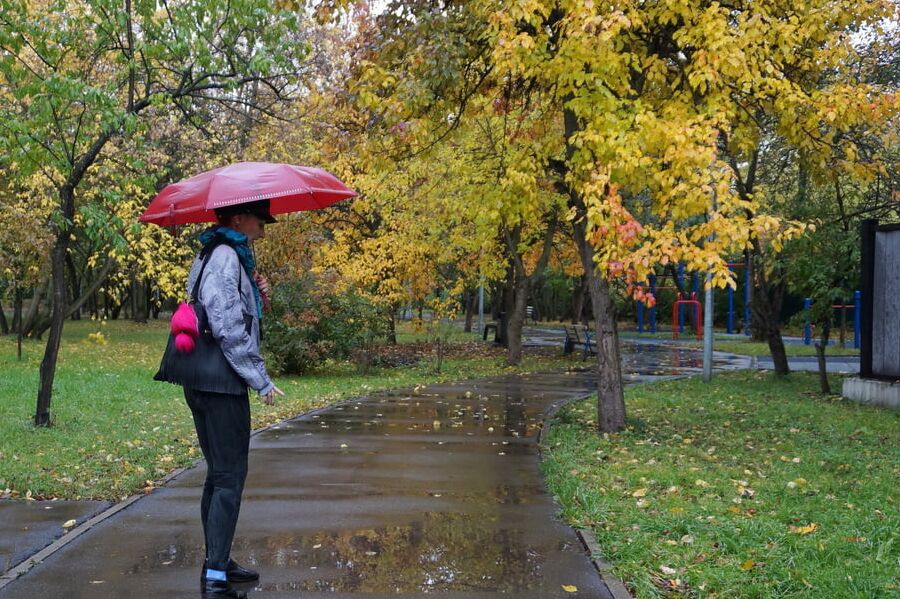 Autumn Mood