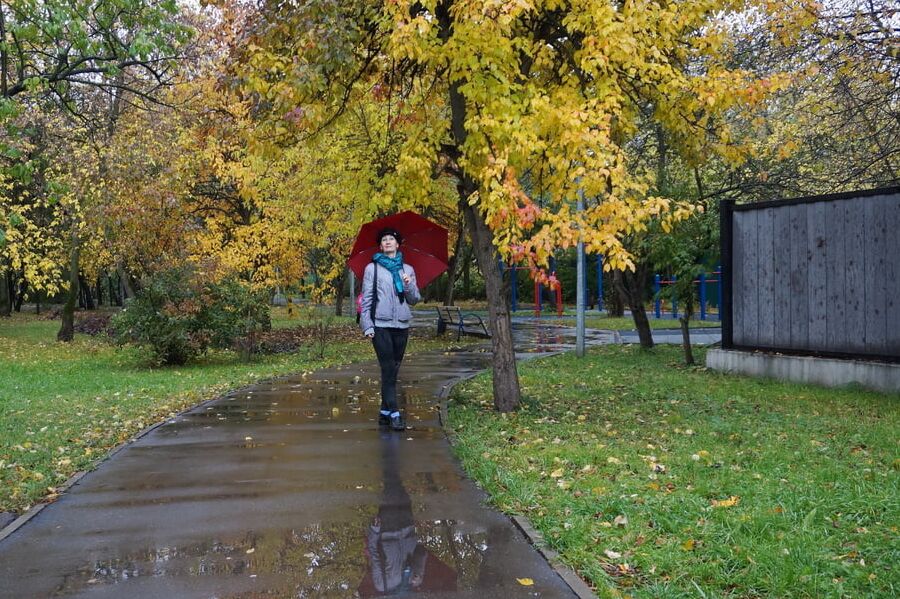 Autumn Mood