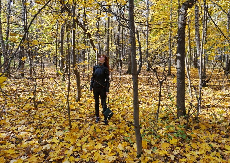 On Carpet from Yellow Leaves