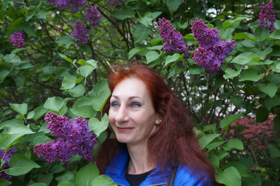 In the purple lilac