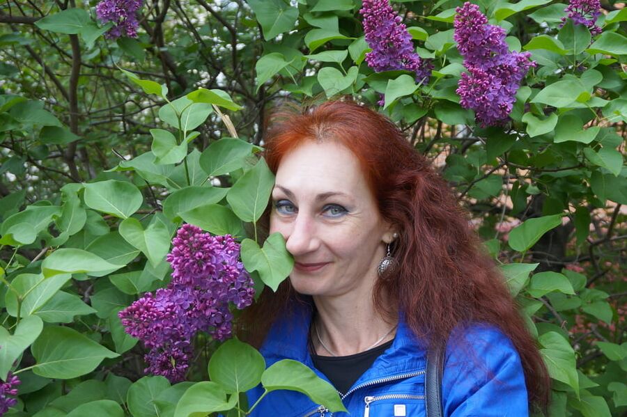 In the purple lilac